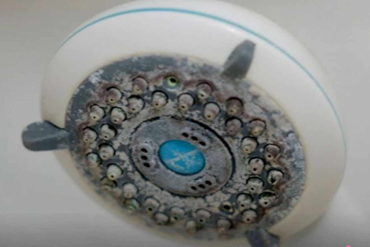 Pomme de douche calcifiée