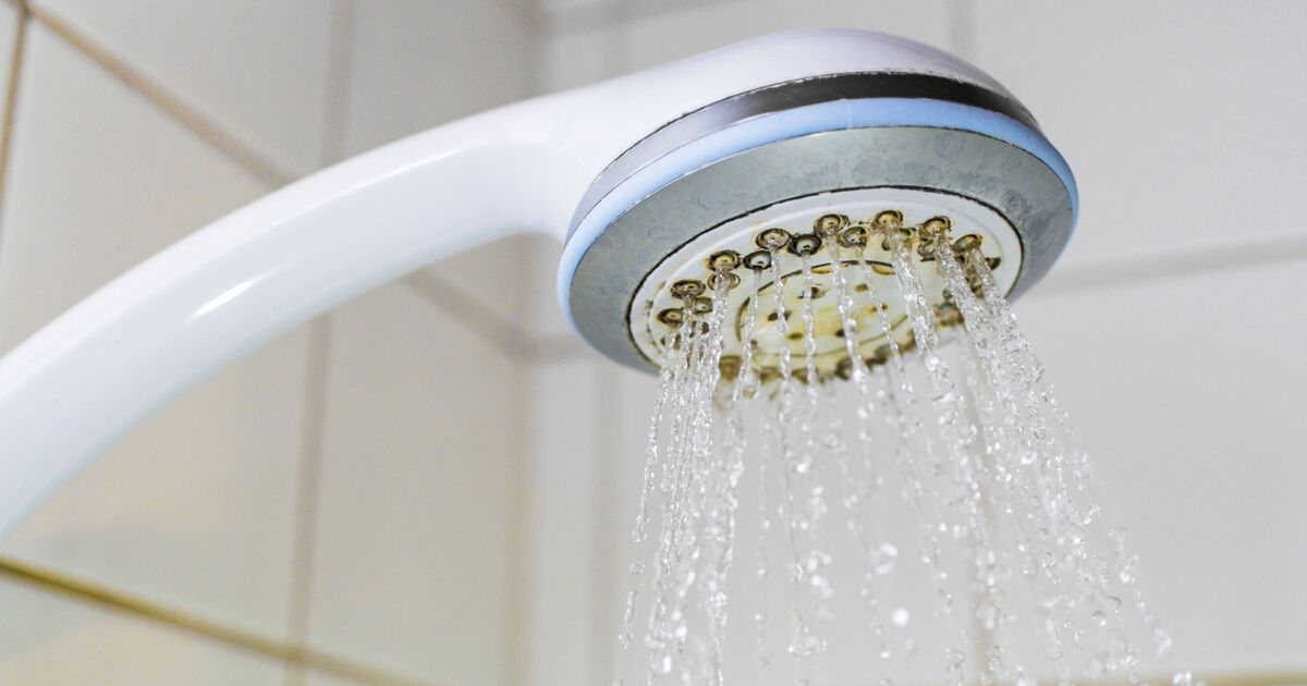 Retirez la durée de la durée des pommes de douche en 1 heure en utilisant un objet «magique» 35p - pas de nettoyage nécessaire