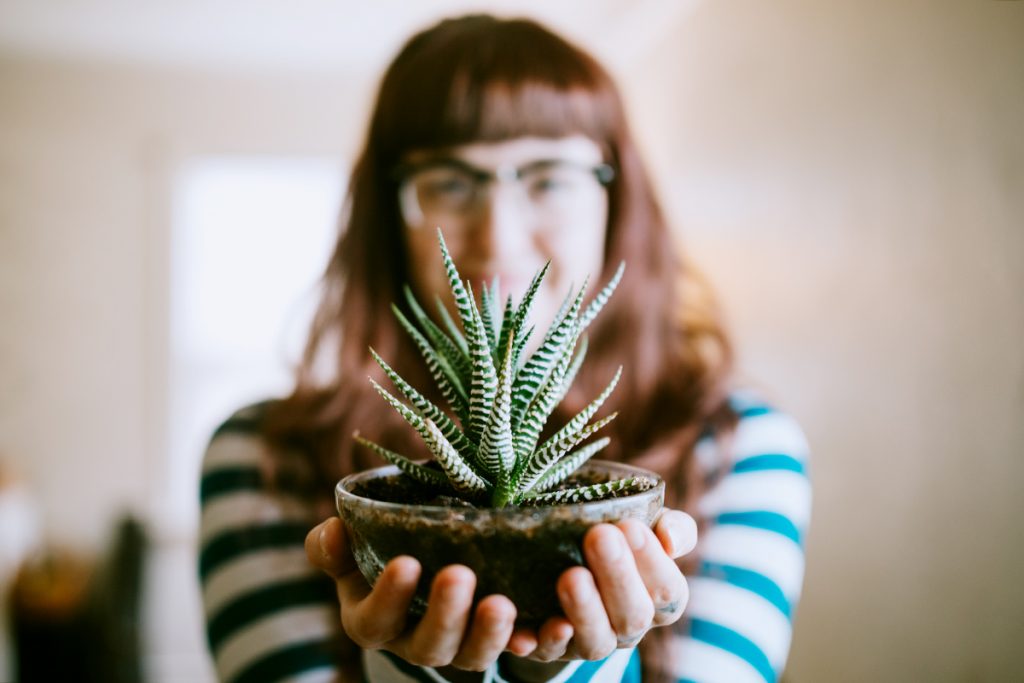 Une femme montre sa plante de maison préférée dans son salon