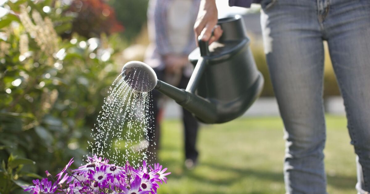 Les jardiniers ont demandé à ajouter une chose pour garder les plantes hydratées avant de partir en vacances