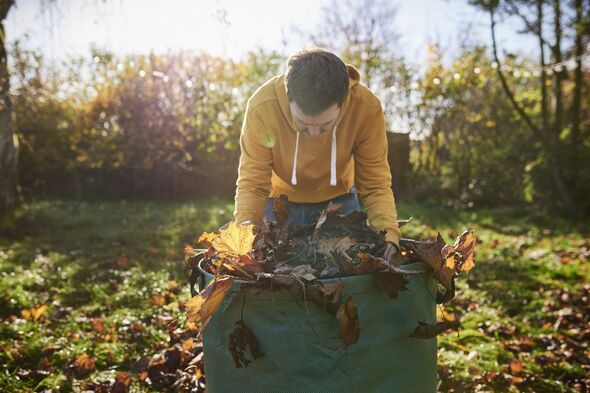 L'homme qui met des feuilles d'automne dans un gros sac