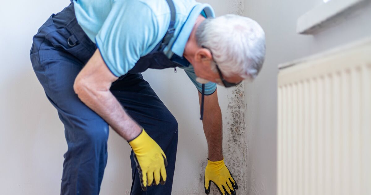 Empêchez l'humidité et la moisissure de revenir gratuitement grâce à une méthode allemande simple.