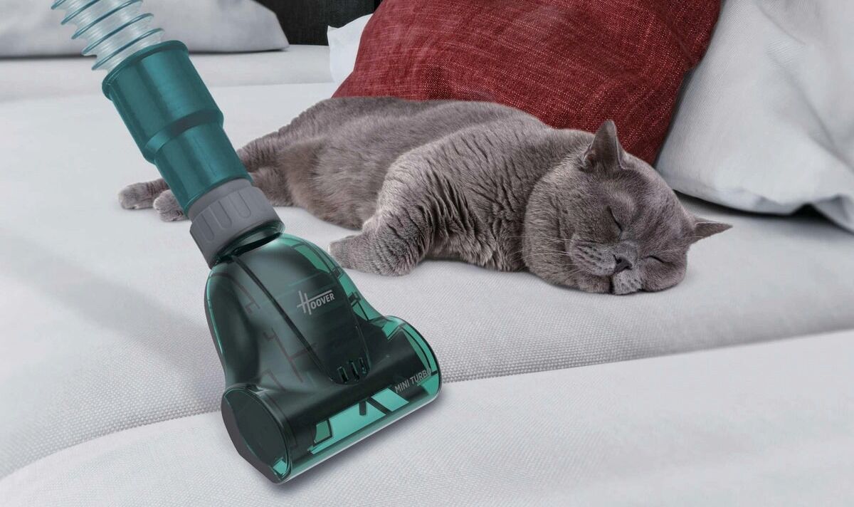 Un Hoover passant l'aspirateur à côté d'un chat endormi sur un canapé