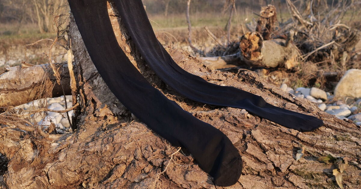 Les ménages britanniques sont invités à mettre leurs vieux collants dans leurs jardins en mars