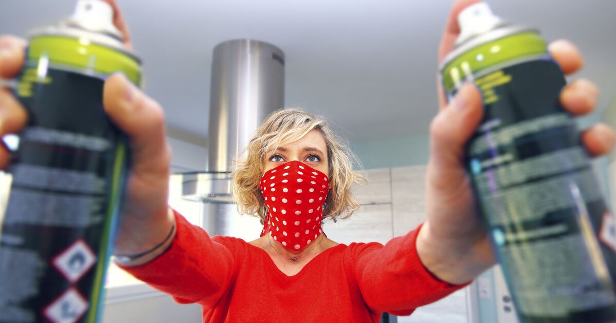 Les foyers britanniques sont invités à faire attention car 3 parasites « effrayants » pourraient envahir les maisons ce printemps – pas les souris