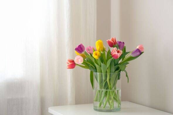 Un bel arrangement de tulipes colorées exposées dans un vase transparent placé sur une table blanche