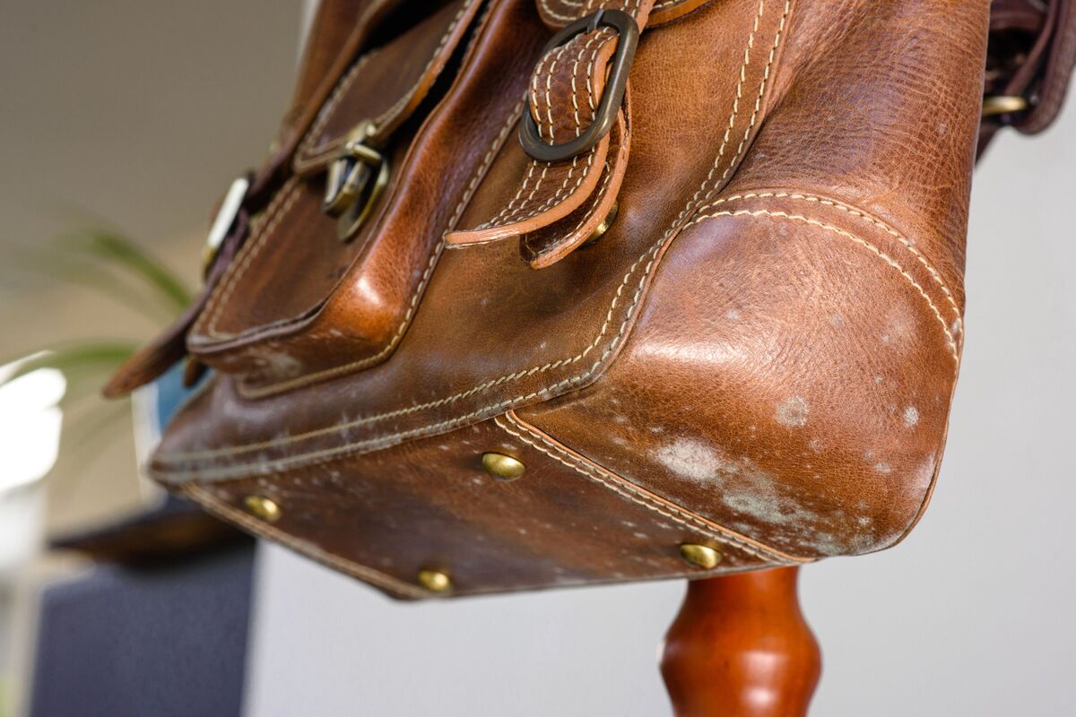moisissure sur un vieux sac en cuir marron, champignon sur un sac en cuir