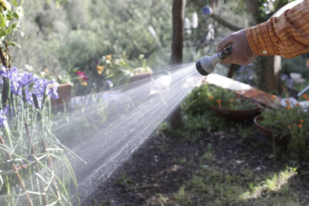 Gros plan d'un homme arrosant des fleurs avec un tuyau dans un jardin.