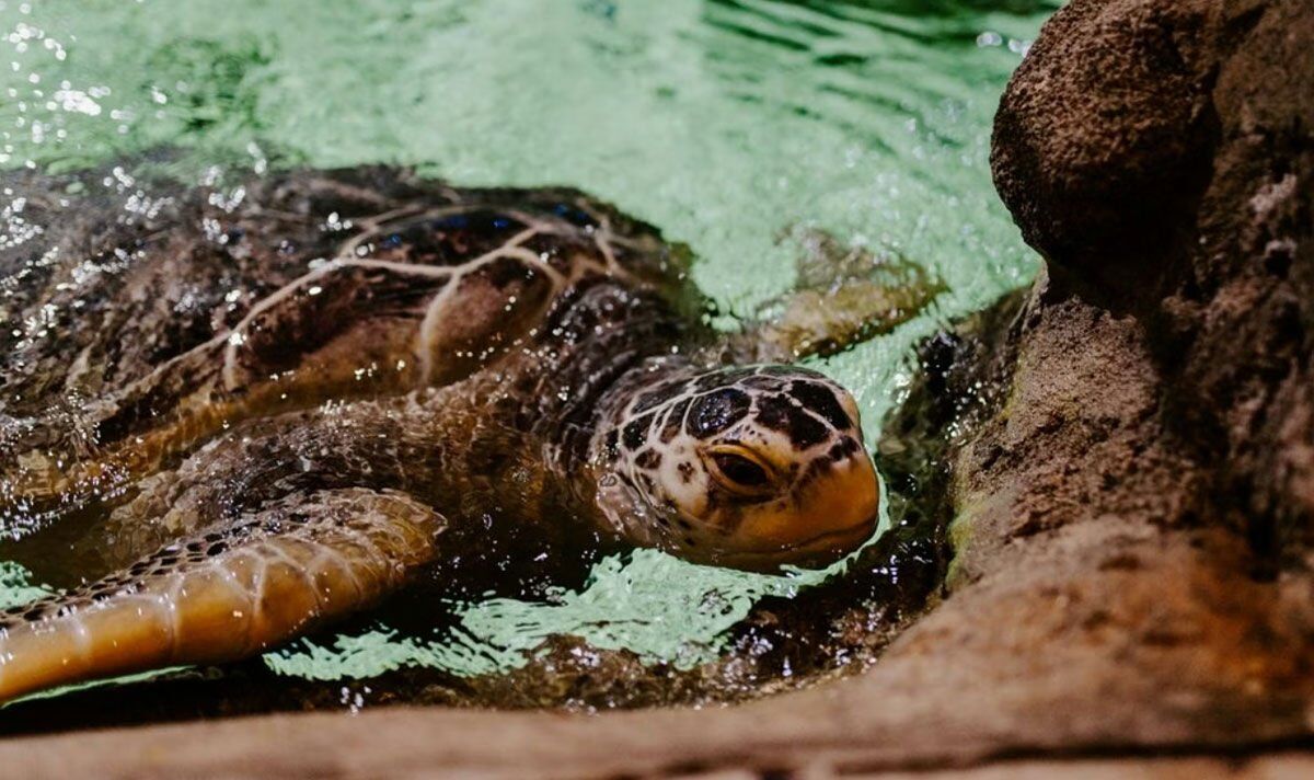 Centre de la vie marine