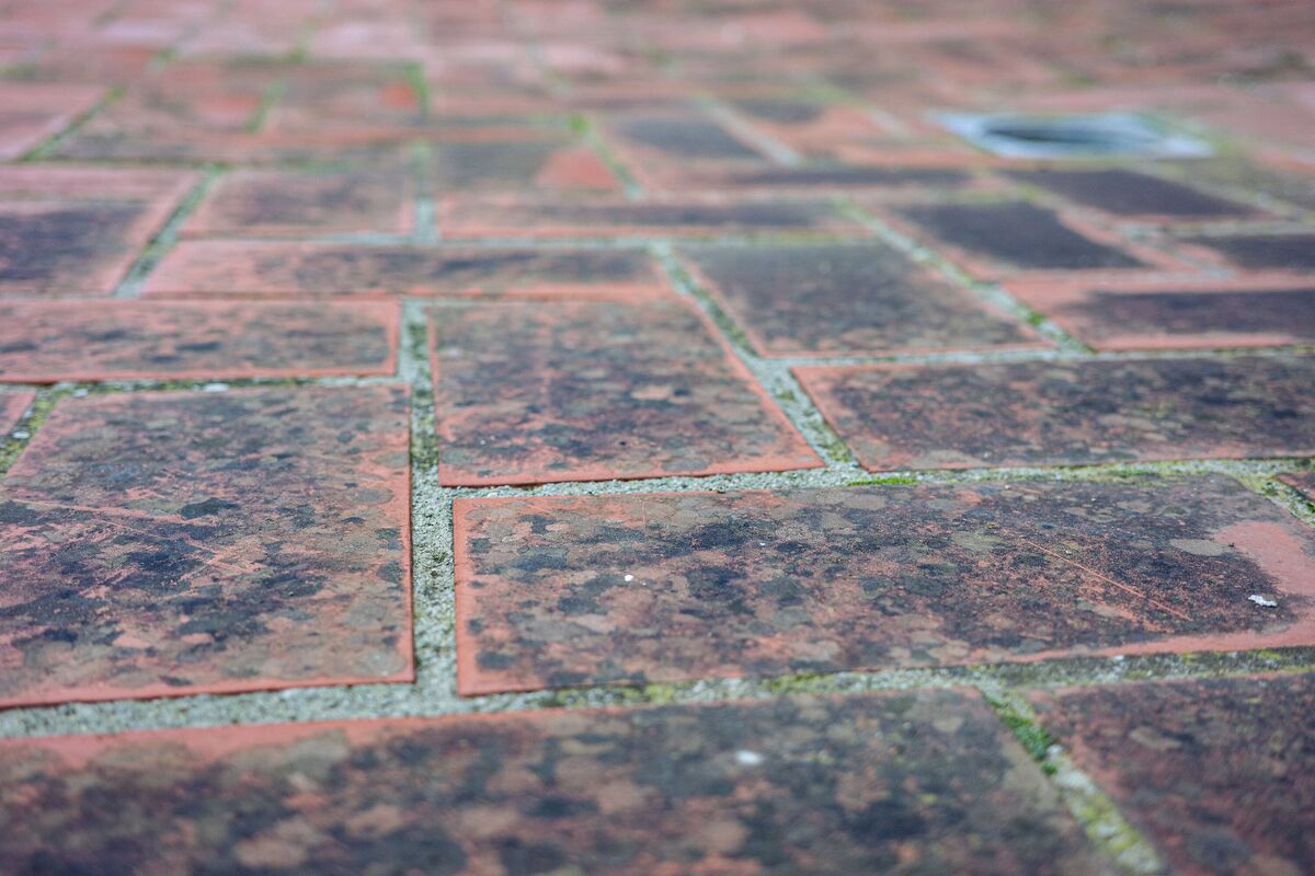 Les carreaux extérieurs sales avec de la moisissure et de la mousse nécessitent un nettoyage et un entretien