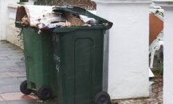 Les ménages britanniques sont invités à mettre 1 article courant dans les poubelles à roulettes pour éloigner les mouches