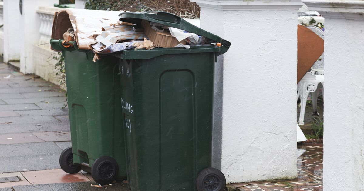 Les ménages britanniques sont invités à mettre 1 article courant dans les poubelles à roulettes pour éloigner les mouches