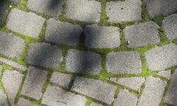 La mousse disparaîtra définitivement des terrasses une fois nettoyée avec 1 article de cuisine courant