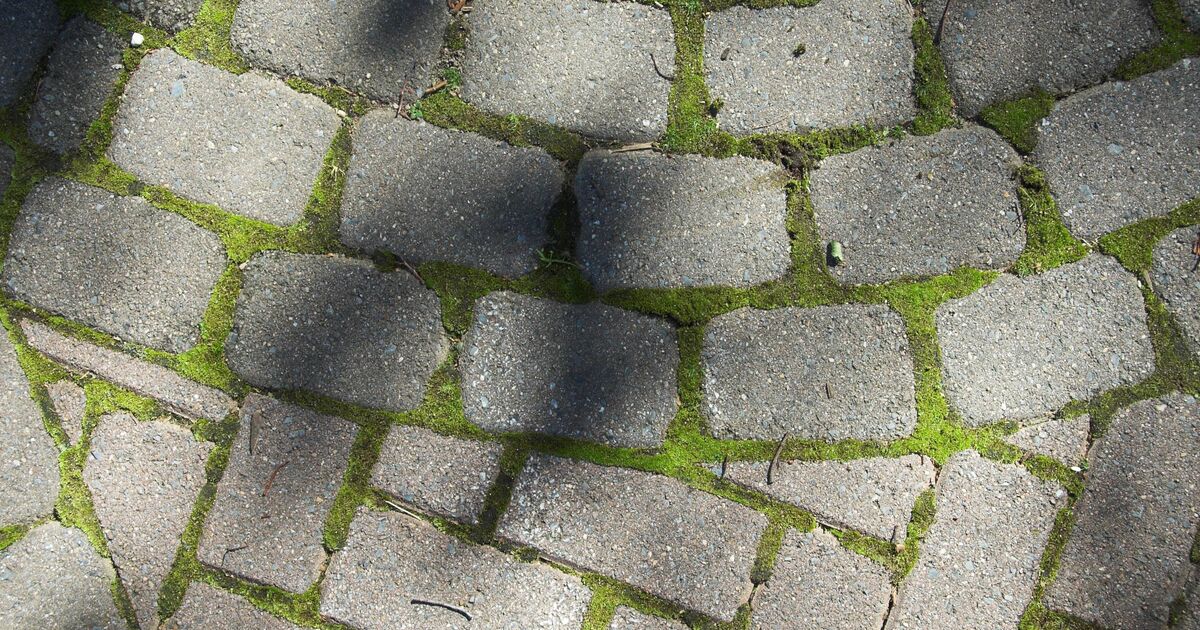 La mousse disparaîtra définitivement des terrasses une fois nettoyée avec 1 article de cuisine courant