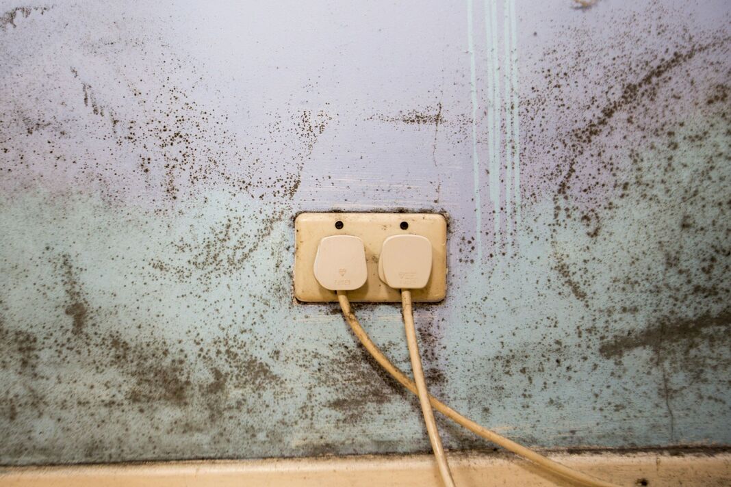 Prise de courant dans un mur avec un environnement humide
