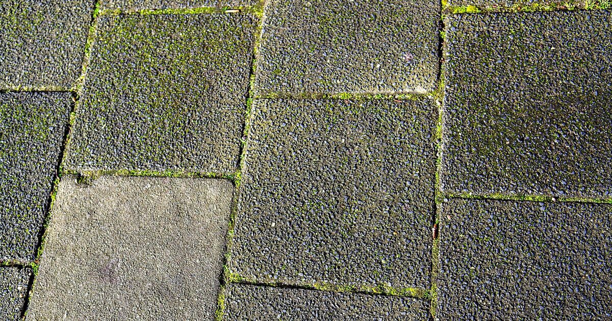 Les dalles de jardin « ont l'air neuves » avec des objets « magiques » que les fans « utilisent chaque année »
