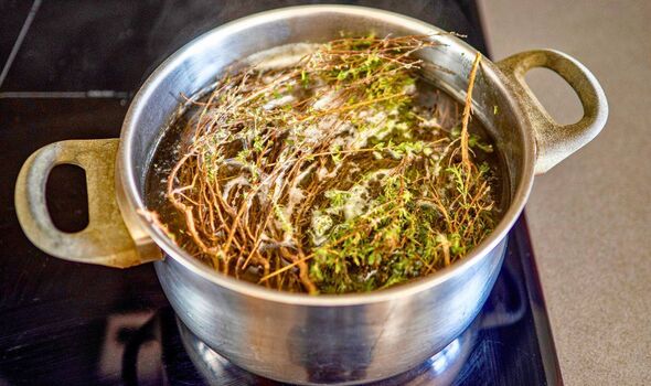 Photo de quelqu'un faisant bouillir des herbes dans une casserole