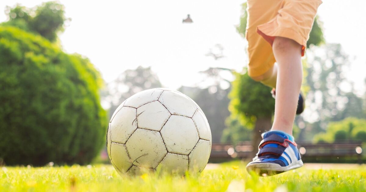 Droits légaux si les enfants continuent de taper dans des balles par-dessus la clôture de votre jardin