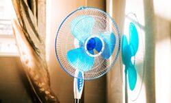 Les pièces resteront fraîches sans ventilateur par temps chaud avec un article « vert » sur le rebord de la fenêtre