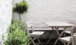 Le jardin le moins cher de l&rsquo;été : tuyaux extensibles, arroseurs automatiques et outils proposés sur AliExpress