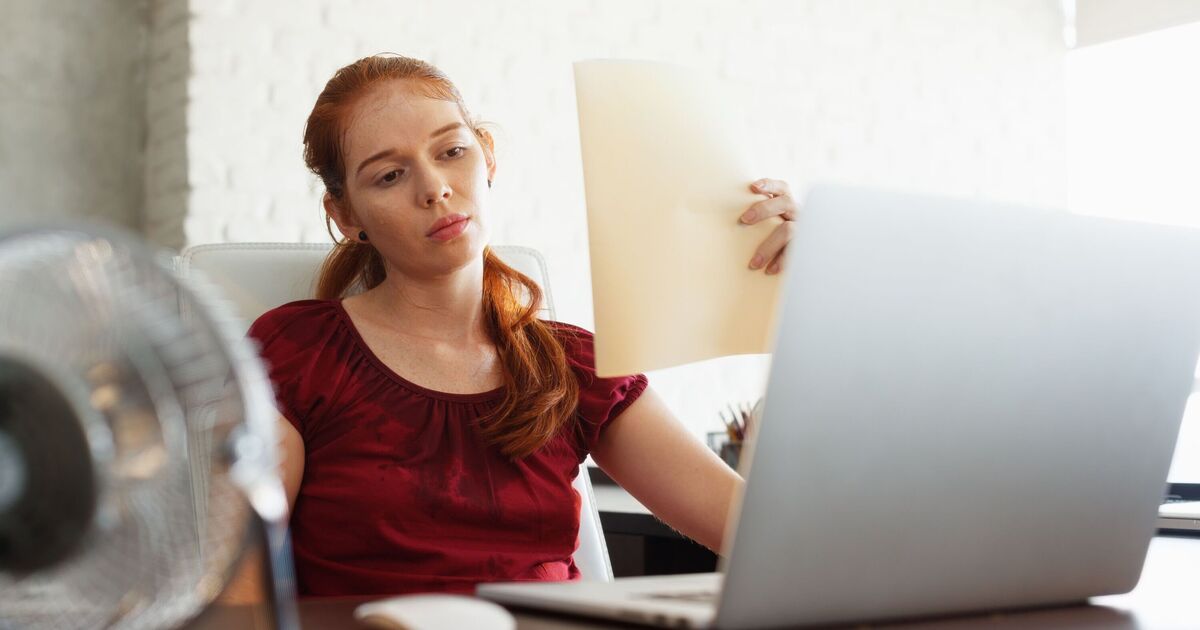 Les employés de bureau resteront au frais par temps chaud s'ils suivent les conseils d'experts « bon marché »