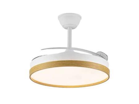 Akunadecor Ventilateur de plafond SECUOYA