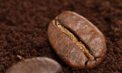 Toute personne possédant un jardin est invitée à saupoudrer du marc de café cette semaine