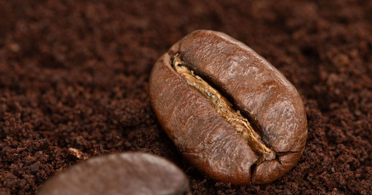 Toute personne possédant un jardin est invitée à saupoudrer du marc de café cette semaine