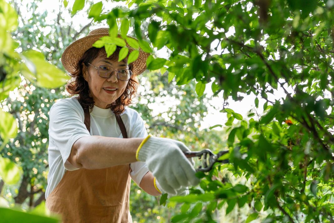 Les femmes âgées, dans leurs dernières années de vie, se consacrent souvent au jardinage, à l’arrosage des plantes et à la taille comme passe-temps pour se détendre. Il s'agit d'une activité appropriée pour