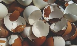 Les jardiniers sont invités à utiliser des coquilles d&rsquo;œufs ce mois-ci pour résoudre un problème courant