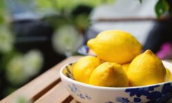 Les citrons restent frais pendant des mois lorsqu&rsquo;ils sont stockés dans un endroit peu connu – pas dans un bol à fruits ou dans une armoire