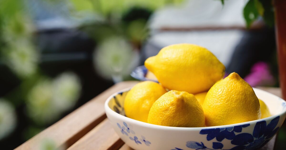 Les citrons restent frais pendant des mois lorsqu'ils sont stockés dans un endroit peu connu – pas dans un bol à fruits ou dans une armoire