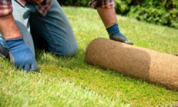 Dites adieu au gazon artificiel en terrasse : la solution résistante et naturelle qui ne nécessite pas d&rsquo;entretien
