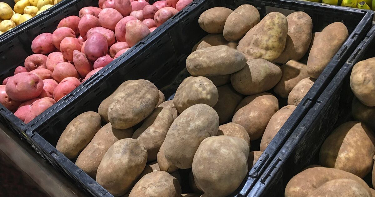 Les pommes de terre ne germeront pas avant six mois lorsqu'elles sont stockées dans un endroit inhabituel
