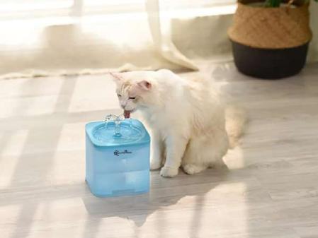 Fontaine à eau automatique pour chat
