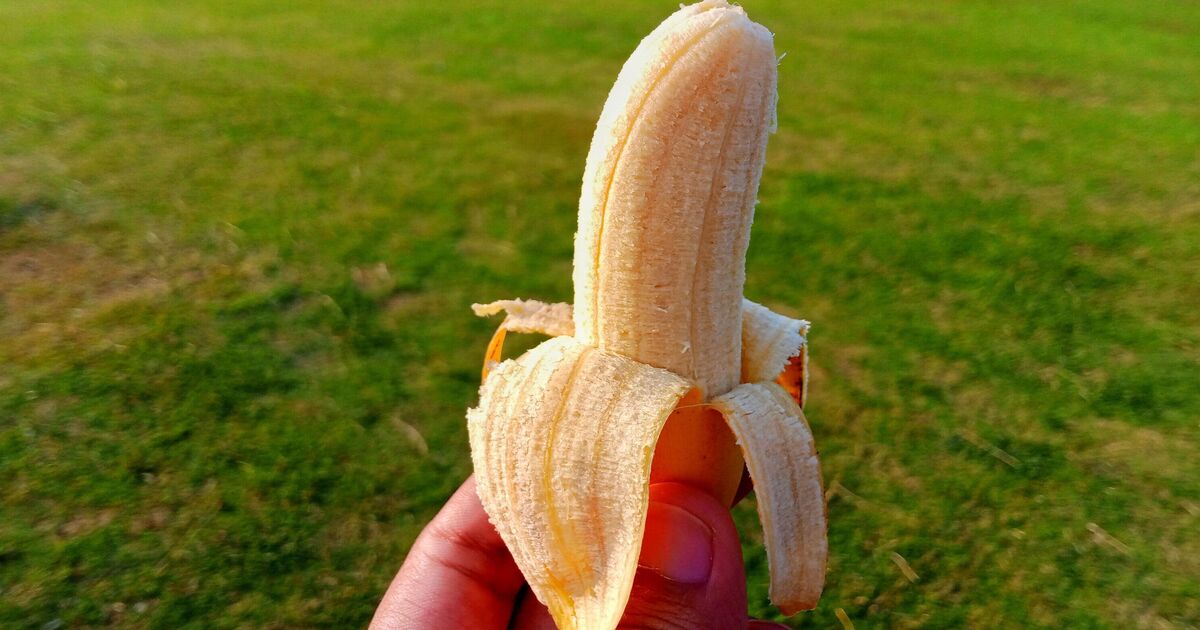 Les jardiniers doivent enterrer les peaux de banane dans leurs jardins en juin