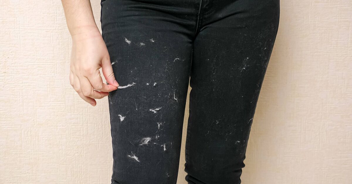 Retirez les poils d'animaux tenaces et les peluches des vêtements en ajoutant 1 article de salle de bain au lavage.