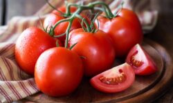 Les tomates ne se détérioreront pas et resteront fraîches si elles sont conservées dans un endroit spécifique de la cuisine