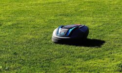 Robots tondeuses qui coupent seuls : Cecotec, Anthbot et autres à moins de 800 euros