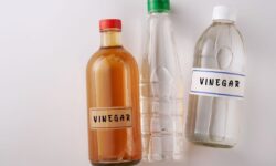 Différence entre le vinaigre blanc et brun expliquée et raison pour laquelle on nettoie mieux