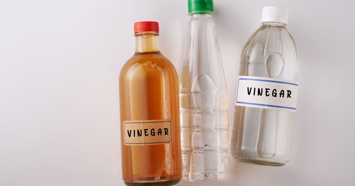 Différence entre le vinaigre blanc et brun expliquée et raison pour laquelle on nettoie mieux
