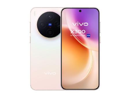 Vivo X300