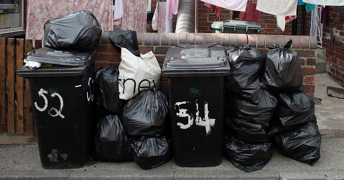 Les poubelles ne sentiront pas par temps chaud si 1 article ménager est saupoudré à l'intérieur