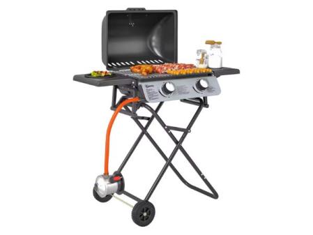 Barbecue à gaz avec 2 brûleurs en inox