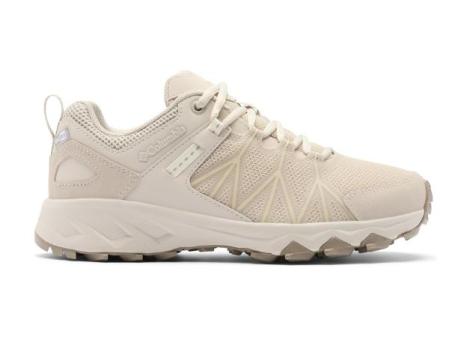 Chaussures Femme Columbia Sportswear Peakfreak 11 Gris