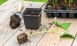 Arrêtez de jeter les vieux pots de plantes car ils ont une autre utilité astucieuse