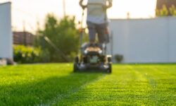 Les jardiniers sont invités à éviter de tondre les pelouses à une heure précise pour éviter les grumeaux d&rsquo;herbe