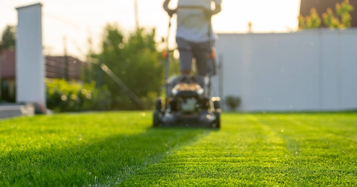 Les jardiniers sont invités à éviter de tondre les pelouses à une heure précise pour éviter les grumeaux d'herbe