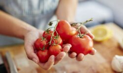 Arrêtez de mettre les tomates au réfrigérateur lorsque l&rsquo;alternative donne « la meilleure saveur et la meilleure texture »