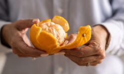 Les ménages sont invités à mettre les écorces d&rsquo;orange près des fenêtres, des portes et dans les poubelles